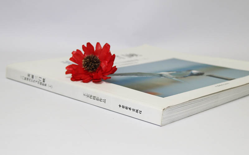 畫冊印刷,畫冊設計,宣傳畫冊印刷